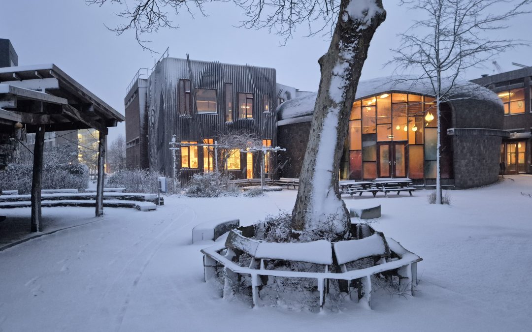 Pleidooi voor ijsvrij